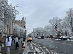 -美国自然历史博物馆