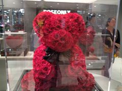 -ROSEONLY诺誓(国际广场购物中心店)