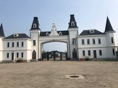 -呼兰河口湿地公园