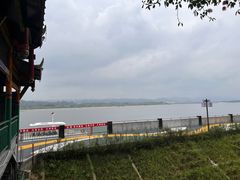 -江湾神木园