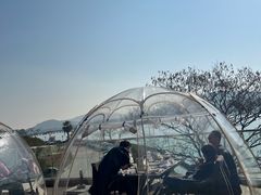 -水上明月·湖景餐厅