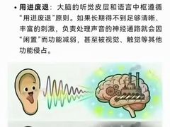 -自然之声助听器(平凉店)
