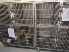 -爱诺耐芙动物医院(万博店)