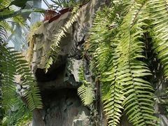 -北京植物园-展览温室