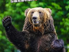 -常州淹城野生动物世界