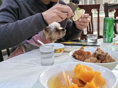 -康陵正德春饼宴26号