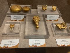 -烟台自然博物馆