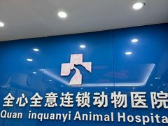 -全心全意连锁动物医院·微创中心·内科急重症·心脏专科(丰管路店)