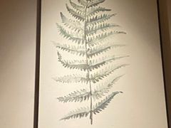 -沐善人家中医·推拿·理疗·三伏灸(新洲店)