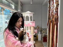 -青奢宠物·青奢猫舍