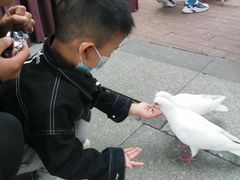 -王府井奥莱临潼小镇(临潼店)