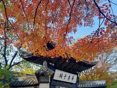 -惠山古镇·寄畅园