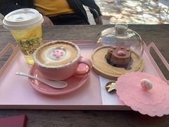 -喵屿·大理花园猫咖