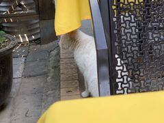 -申德勒加油站餐厅(三里屯北小街店)