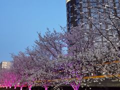 -新天地活力PARK