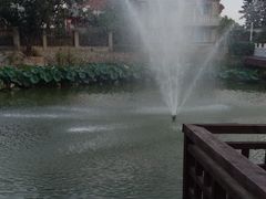 -静之湖湖畔餐厅