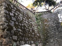 -昆明动物园