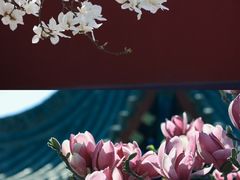 -西安市广仁寺