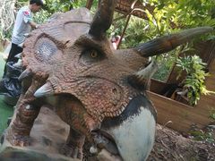 -呀路古热带植物园