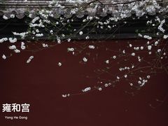 -雍和宫(地铁站)