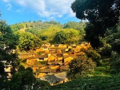 -杨家堂村