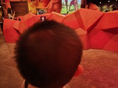 -珠海横琴国家地理探险家中心(创新方)