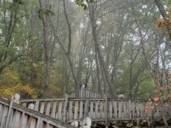 -帽儿山国家森林公园