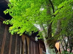 -杭州半山国家森林公园