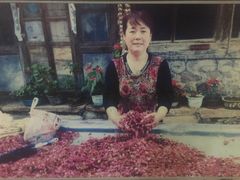 -三岔涧农家乐