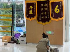 -帕帕拉兹宠物(亚洲旗舰店)