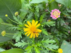 -海兰云天度假区温泉