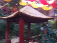 -新世纪绿洲(抚顺店)