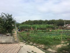 -丰依竹食·老牌竹筒饭