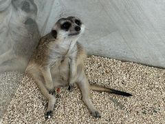 -海合安武汉极地海洋公园