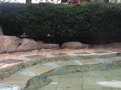 -贵御温泉