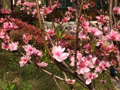 -南京金牛湖风景区