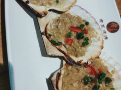 蒜蓉烤扇贝-老五烧烤(石牌岭店)