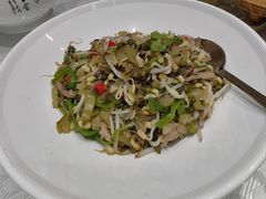 -丁老爷子苏香圆