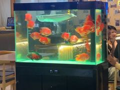 -五丁桥光头香辣蟹(望江橡树林店)