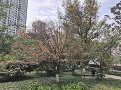 -成都市活水公园