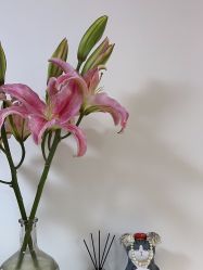 -美肤盾祛痘·问题肌头疗管理中心