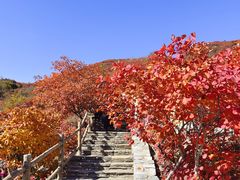 -周口店坡峰岭风景区