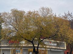 -好利来(槐中店)