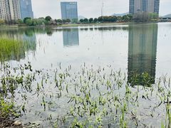 -诺贝尔湖公园