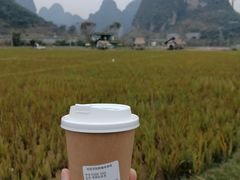 -明仕田园