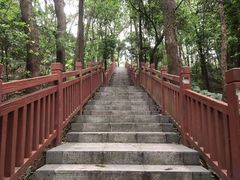 -南国桃园旅游度假区