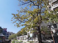 -黄埔古港
