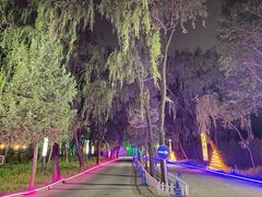 -枫花园汽车电影院(朝阳公园店)