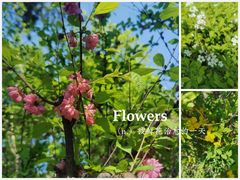 -长春市南湖公园