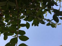 -姥家大锅台水库渔家
